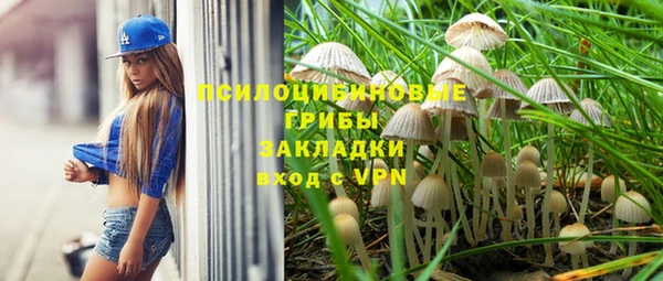 хмурый Алексеевка