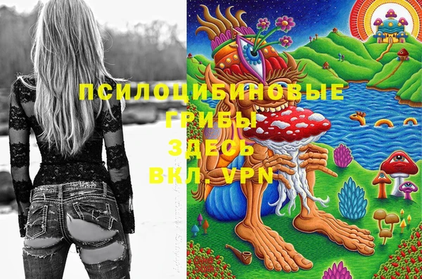 синтетический гашиш Алексин