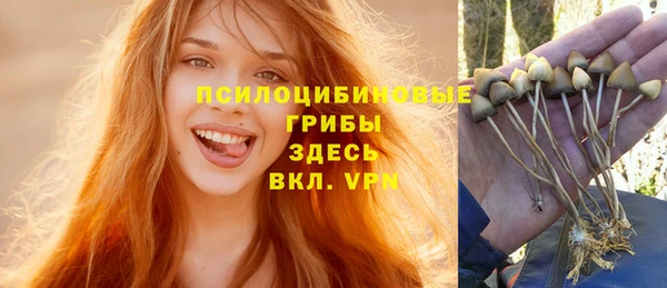 mix Новозыбков