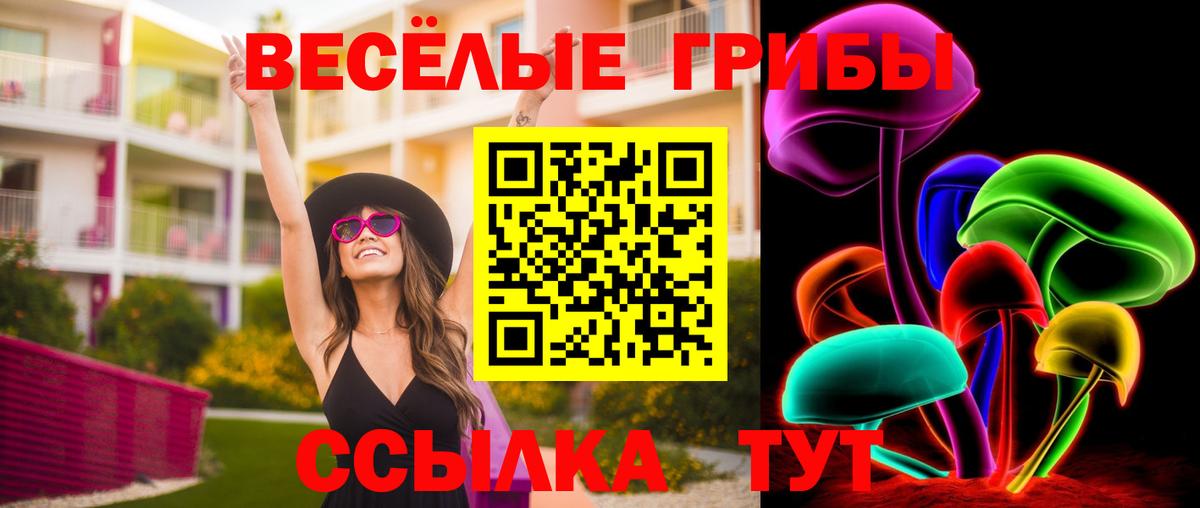 Галлюциногенные грибы MAGIC MUSHROOMS Брянск