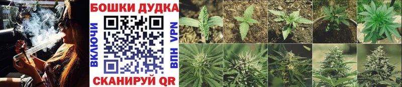 МАРИХУАНА индика  omg   Брянск  что такое  